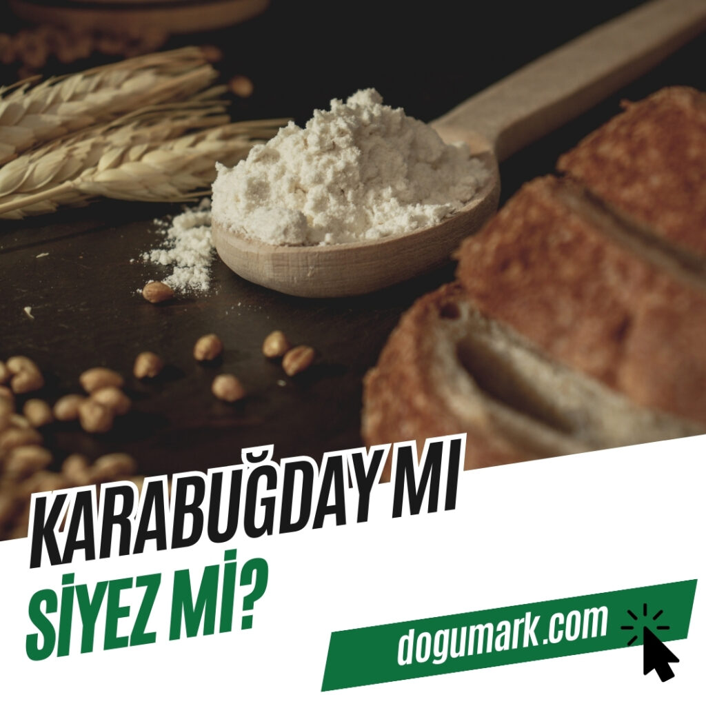 Karabuğday mı Siyez mi
