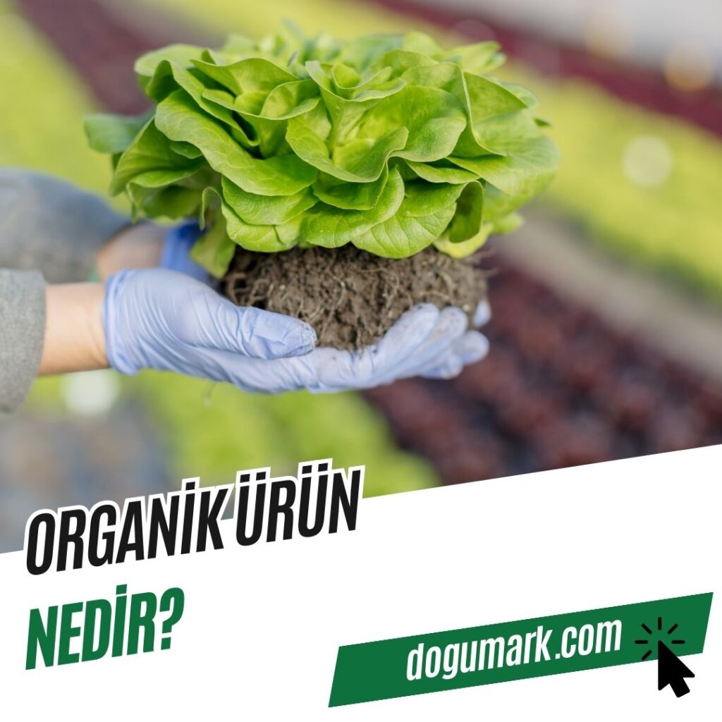 Organik Ürün Nedir