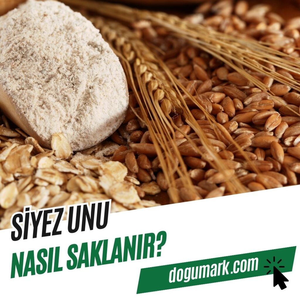 Siyez Unu Nasıl Saklanır