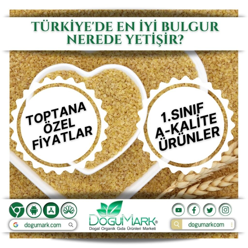 Türkiyede En İyi Bulgur Nerede Yetişir