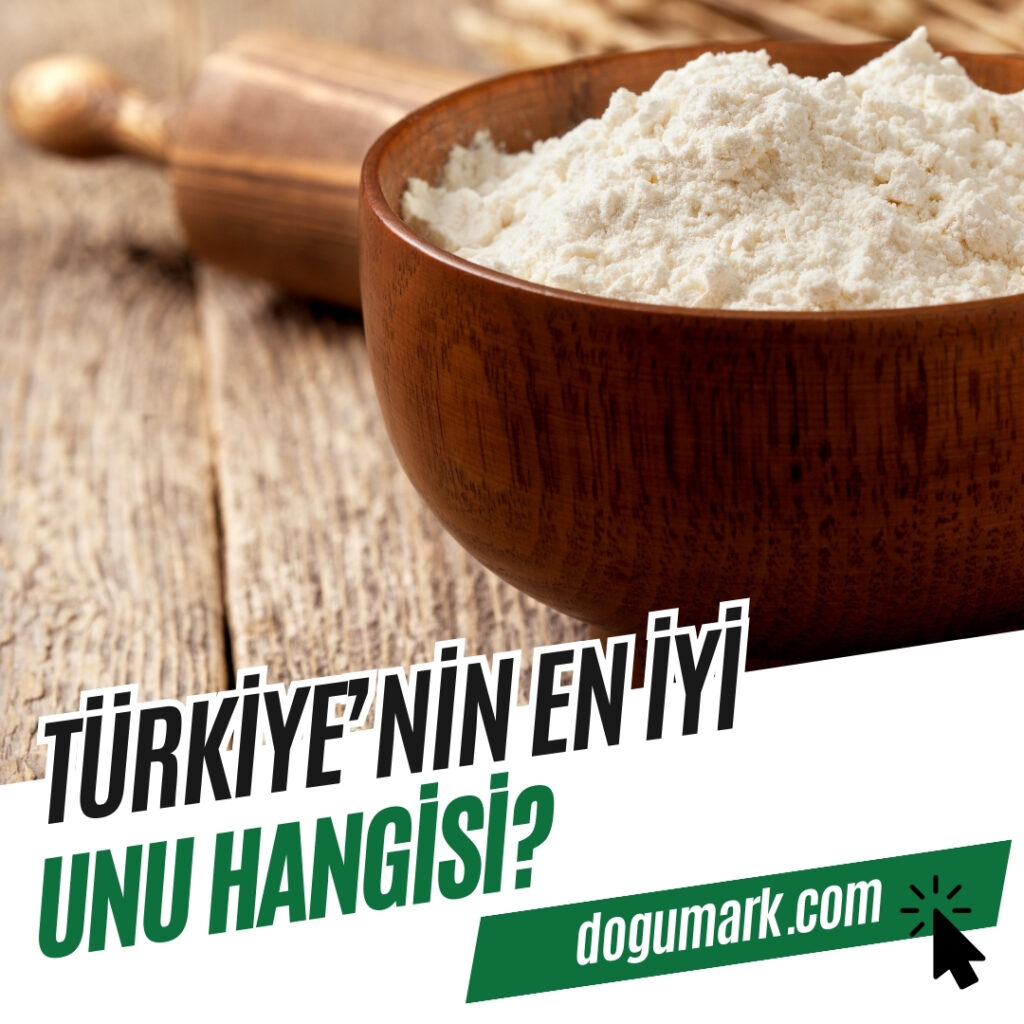 Türkiye'nin En İyi Unu Hangisi