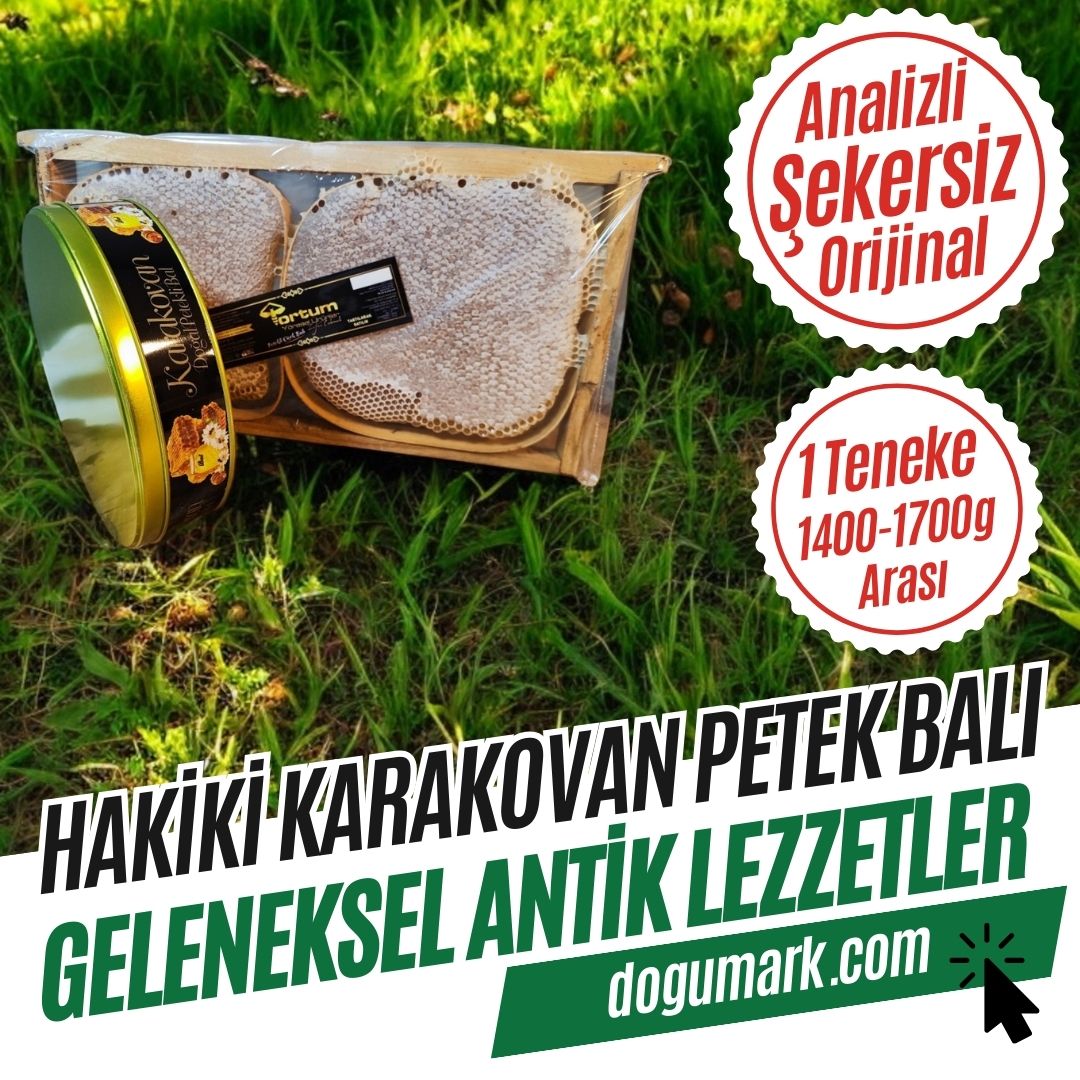 Analizli Şekersiz Hakiki Karakovan Petek Balı (1400-1700g Arası)