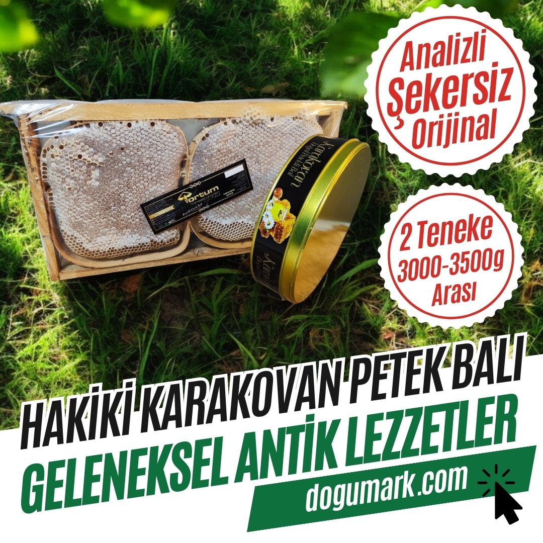 Analizli Şekersiz Hakiki Karakovan Petek Balı (3000-3500g Arası)