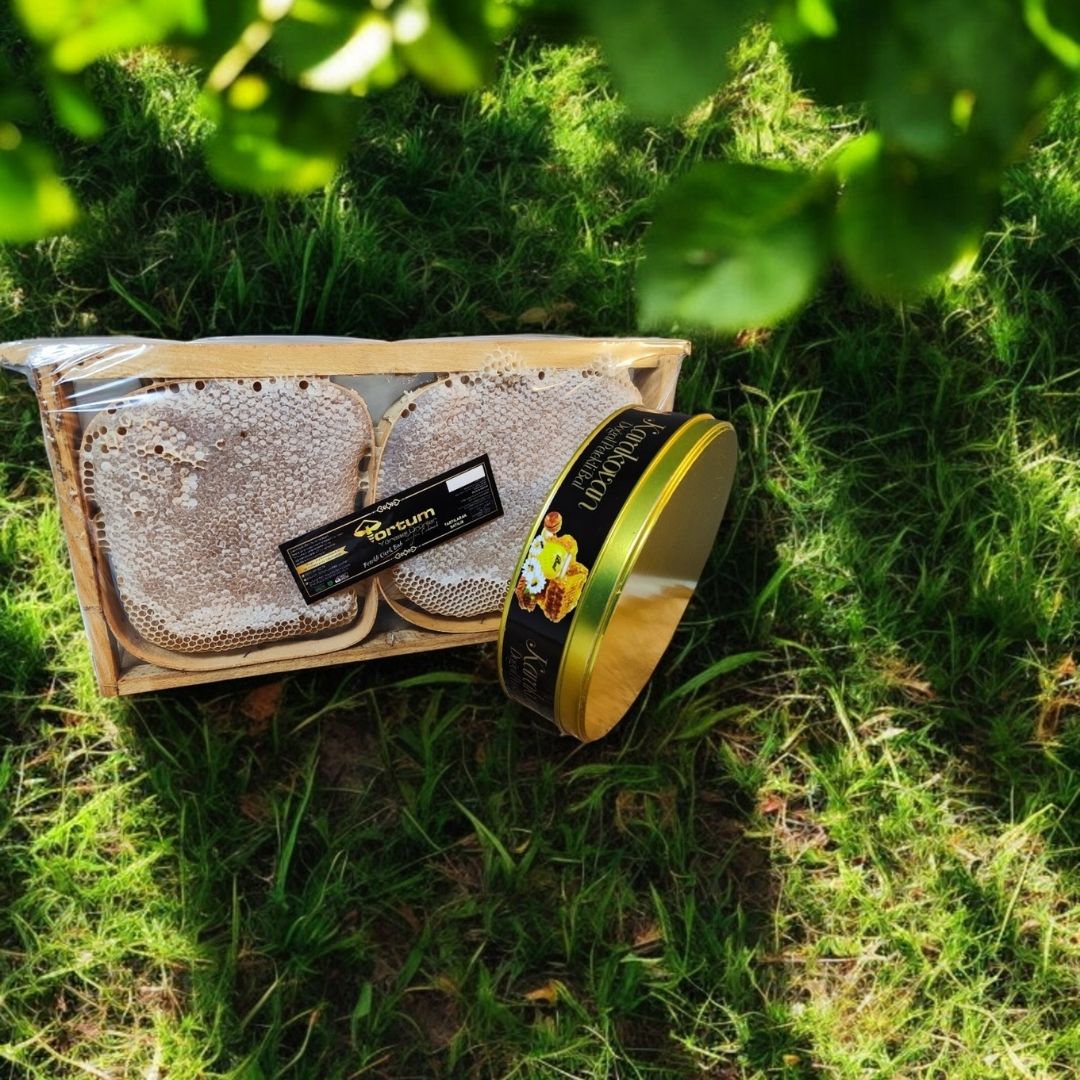 Analizli Şekersiz Hakiki Karakovan Petek Balı (3000-3500g Arası)