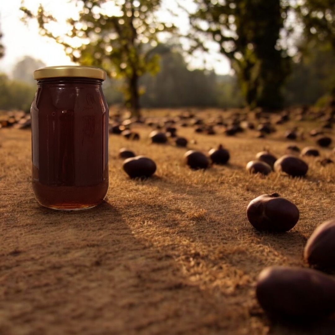 Analizli Şekersiz Hakiki Süzme Kestane Balı - (Net-500g) - Dökme
