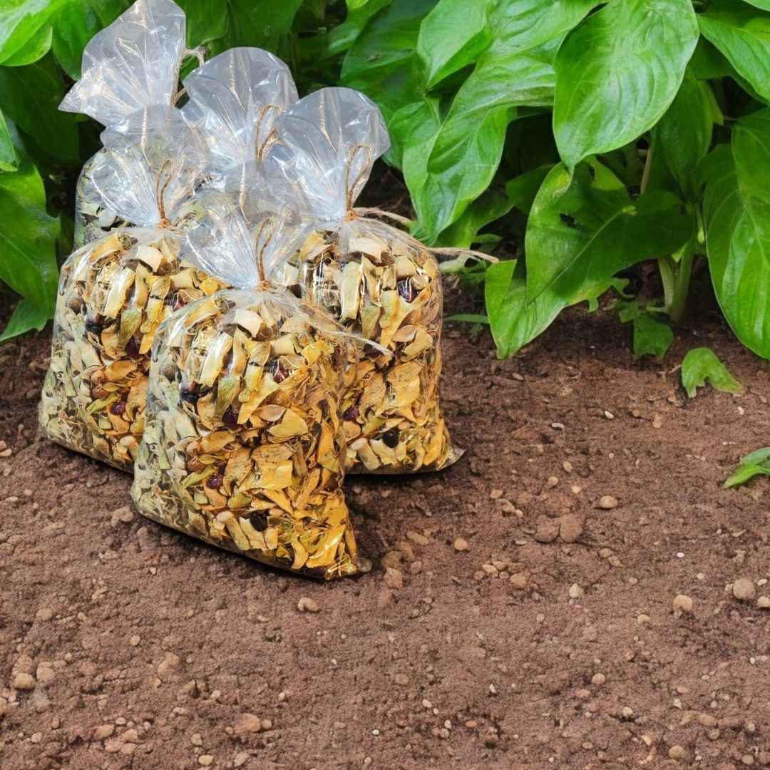 Doğal Kurutulmuş Taze Yeşil Fasulye - Kuru Sebze (5 Kg)