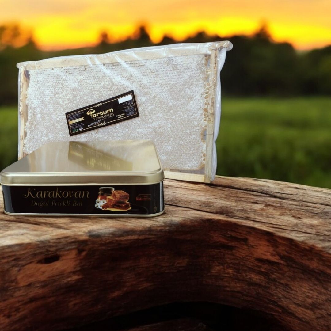 Doğal Yayla Çiçek Petek Balı (2 Teneke 3000-3500g Arası)