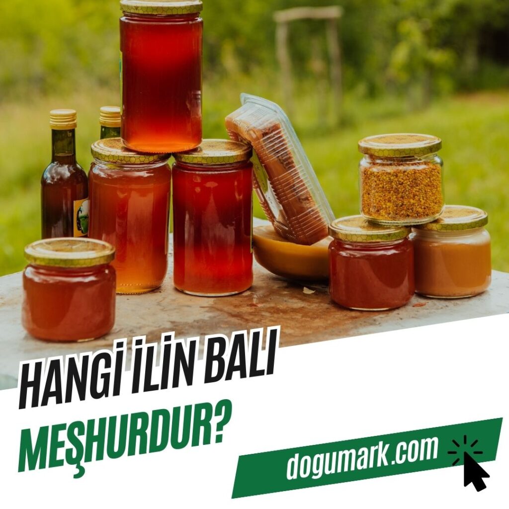 Hangi İlin Balı Meşhur