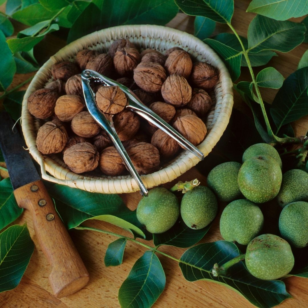 Kabuklu Ceviz (1 Kg)