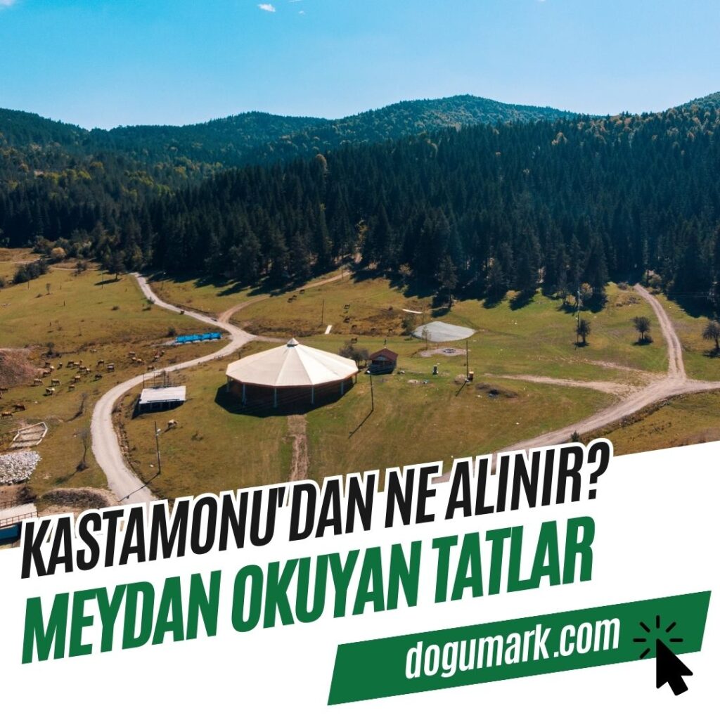 Kastamonu'dan Ne Alınır