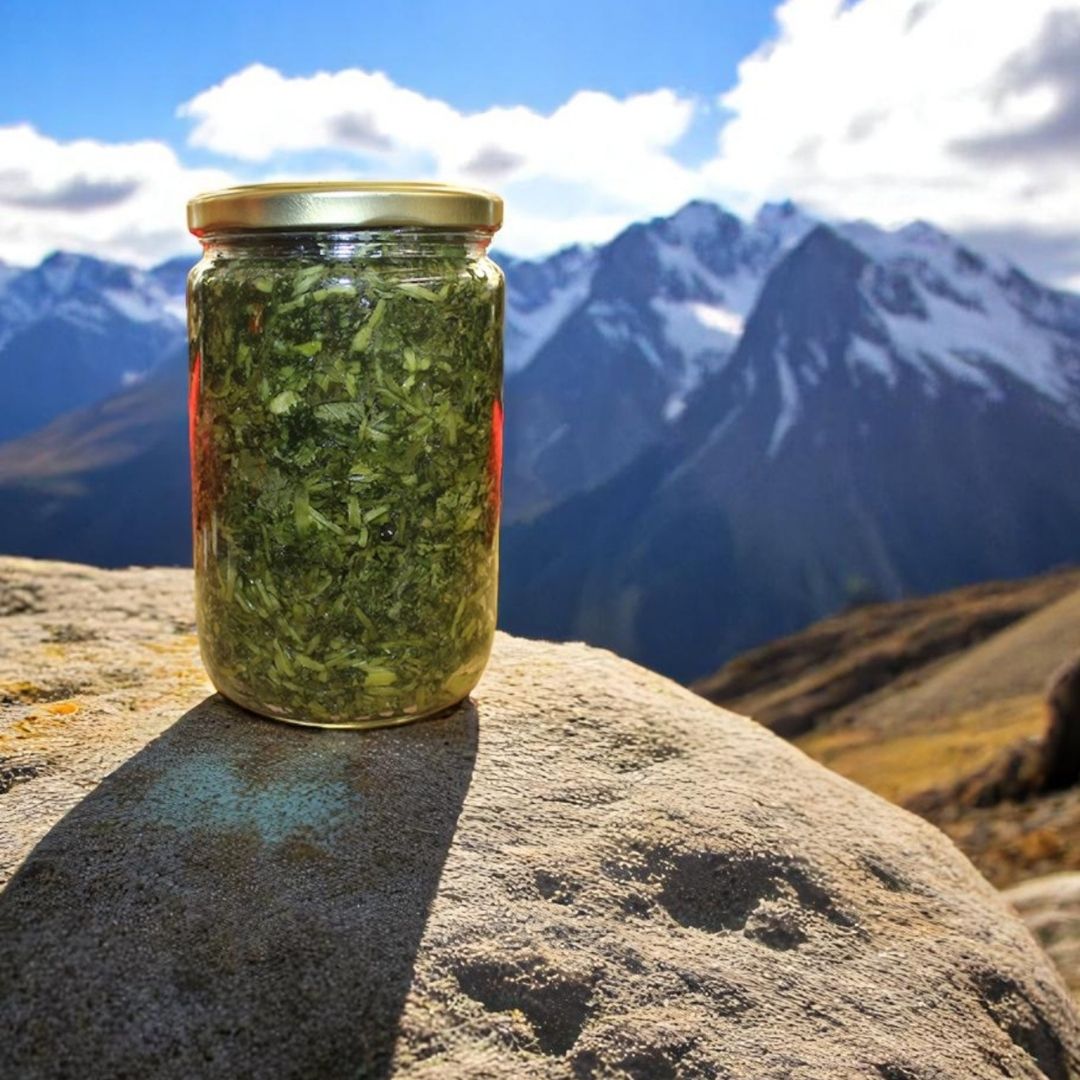 Katkısız Ev Yapımı Kişniş (Aşotu) Salamura - 1 Kavanoz (500g)