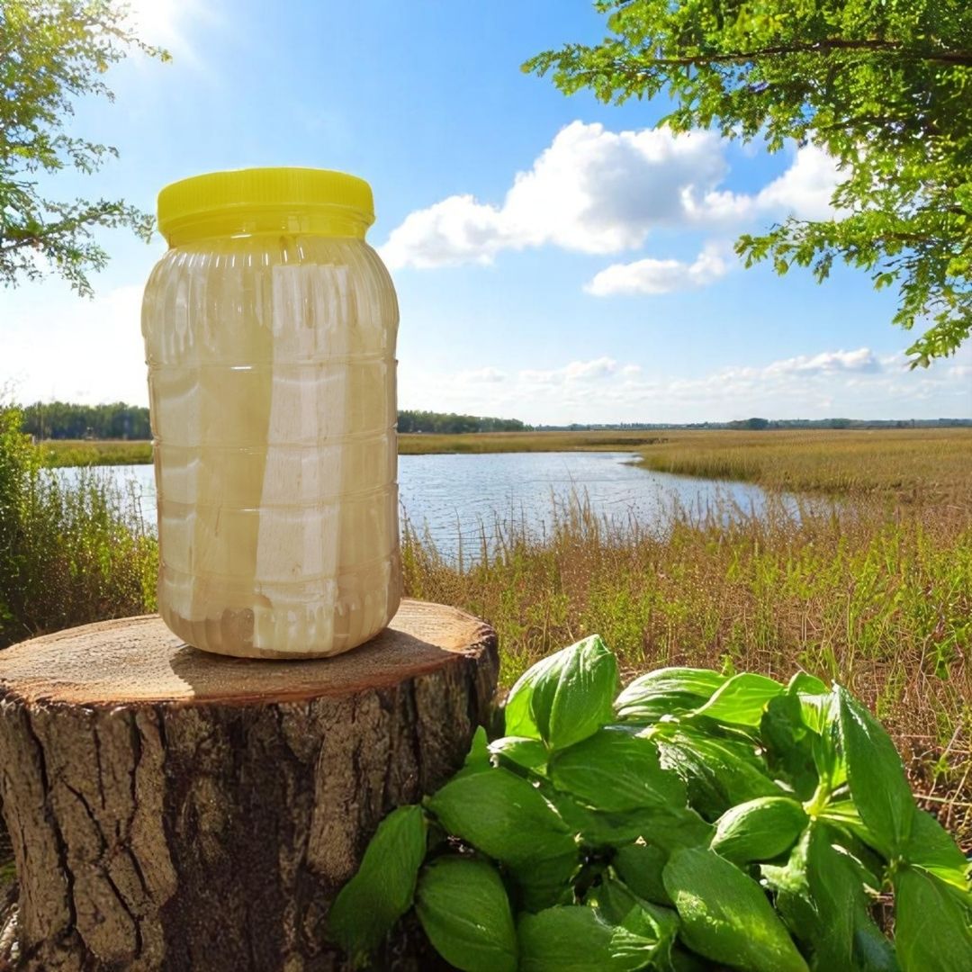 Katkısız Salamura Yağsız Tuzlu Civil Peynir - (1,5 Kg) Dökme