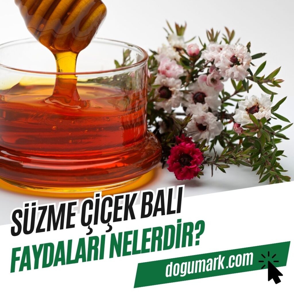 Süzme Çiçek Balı Faydaları Nelerdir