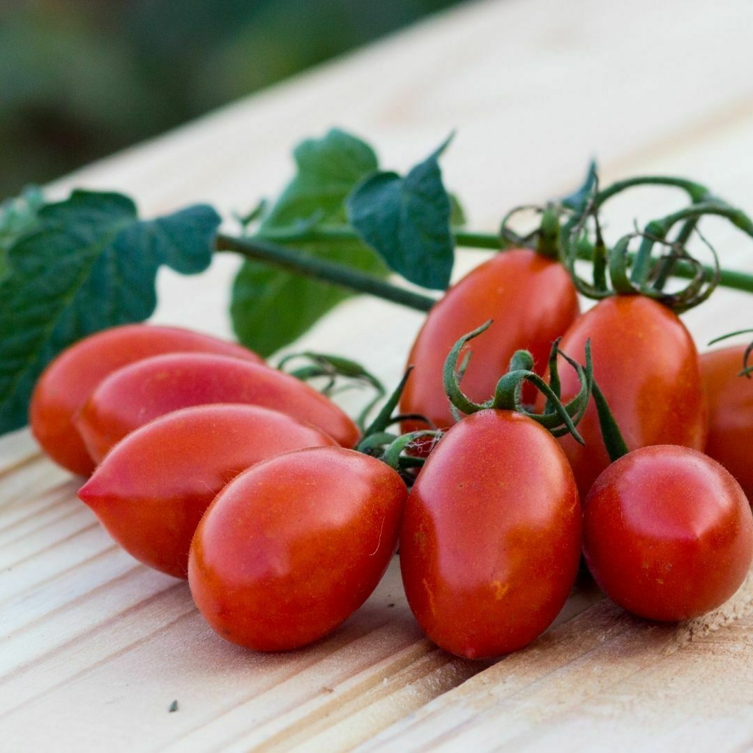 Domates Salçası - (1 Kg)