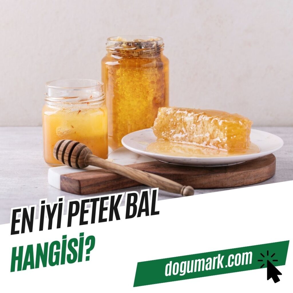 En iyi Petek Bal Hangisi