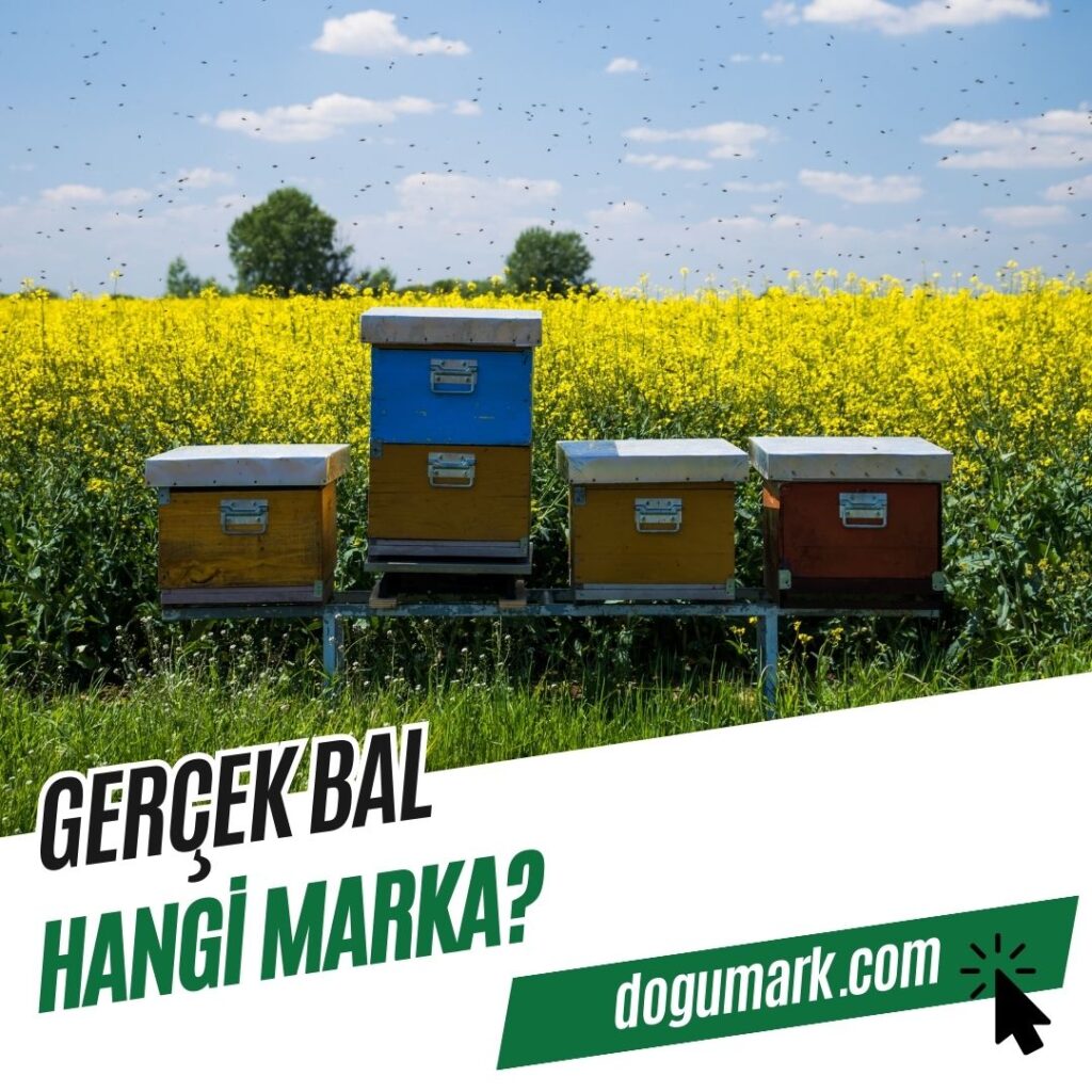 Gercek bal hangi marka