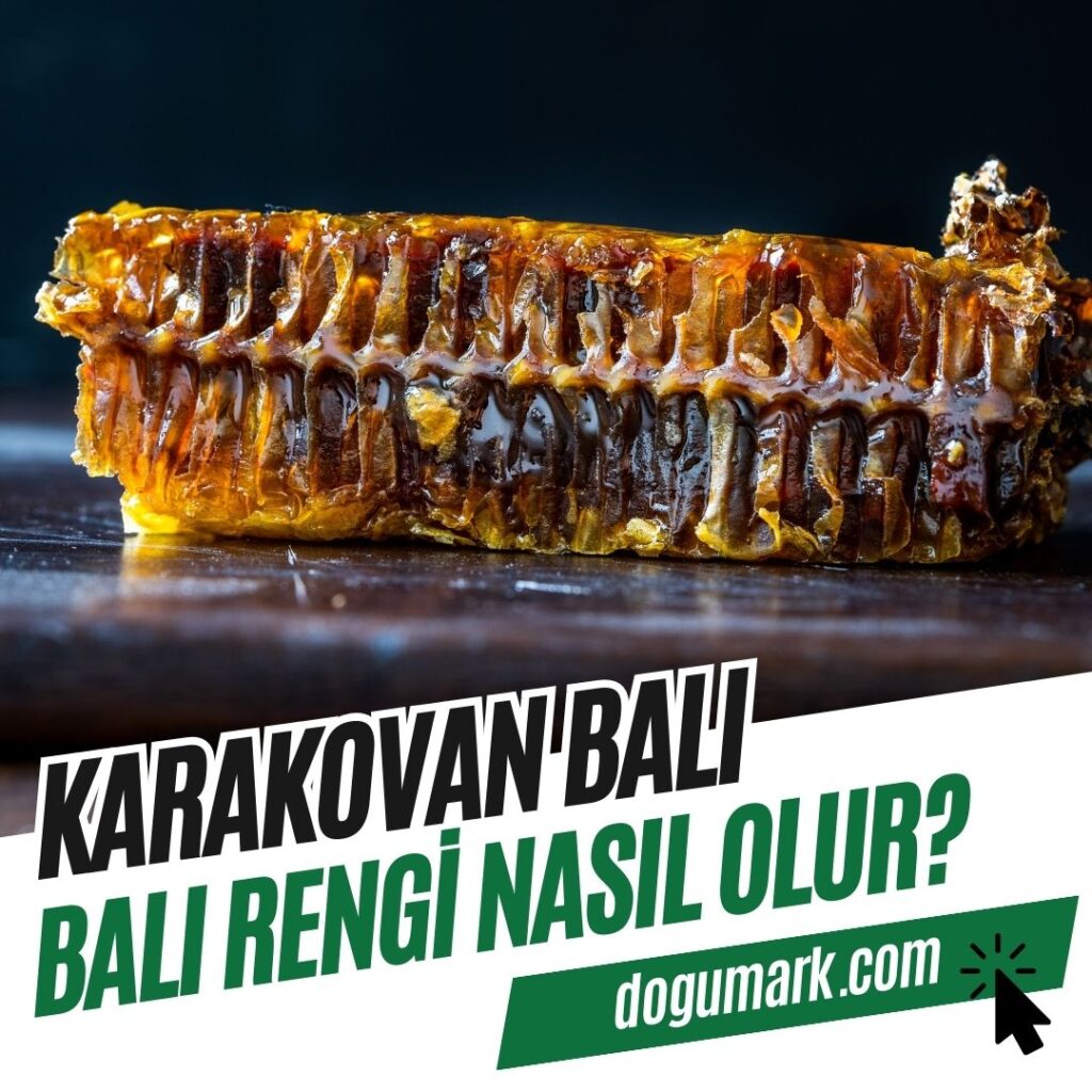 Karakovan Balı Rengi Nasıl Olur