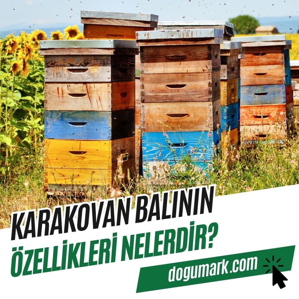 Karakovan Balının Özellikleri Nelerdir