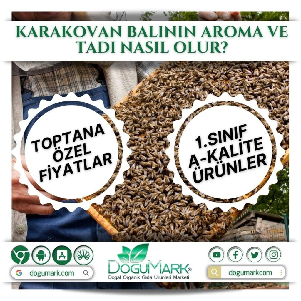 Karakovan balının aroma ve tadı nasıl olur