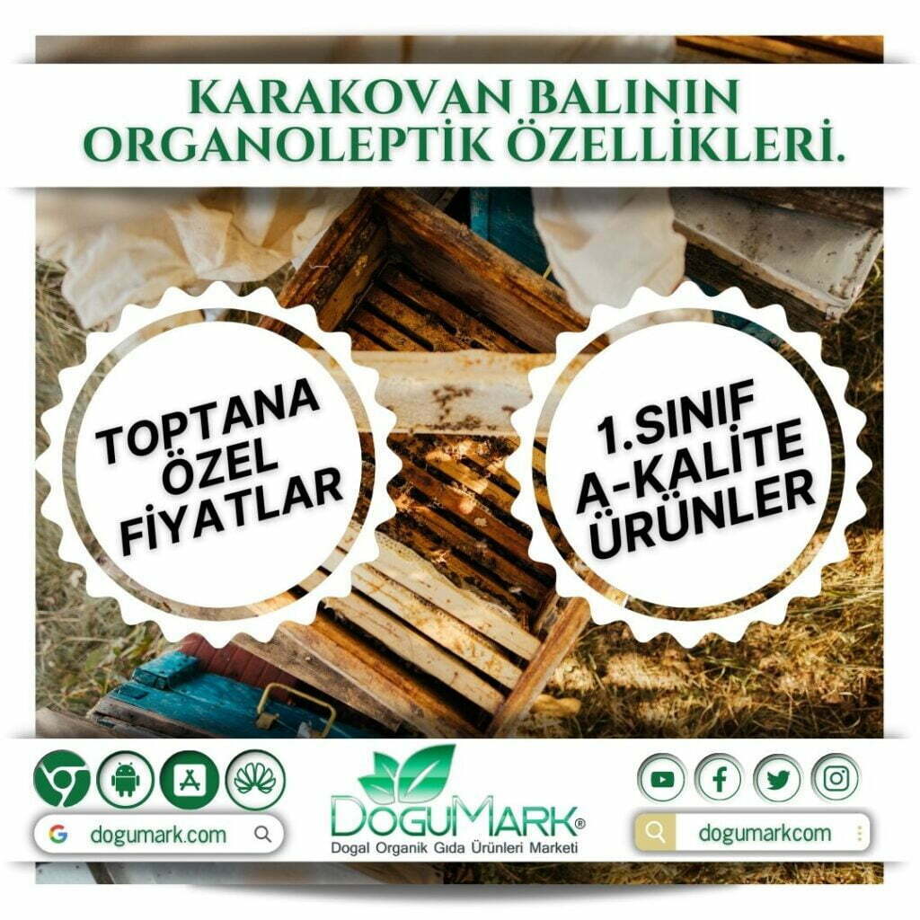 Karakovan balının organoleptik özellikleri