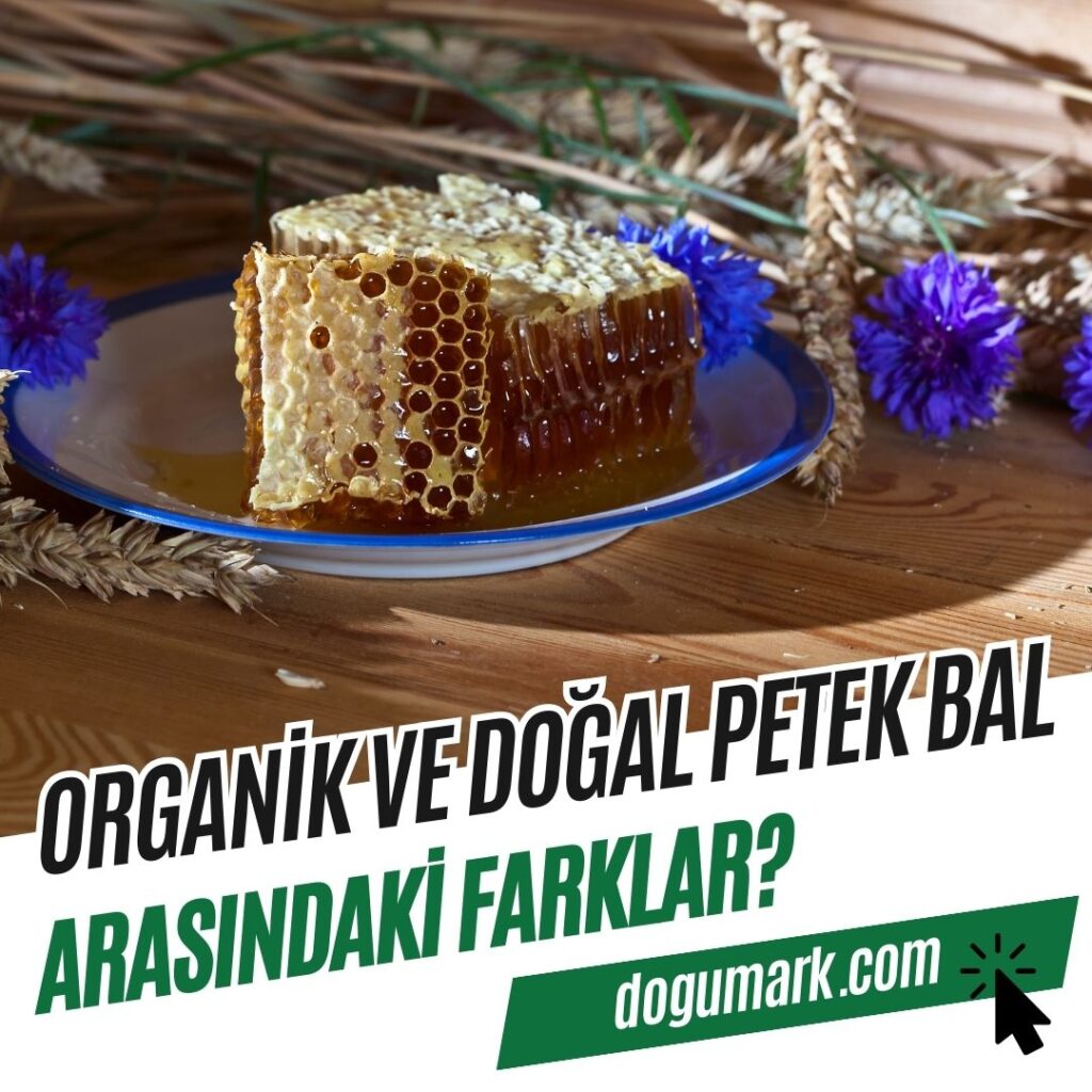 Organik ve Doğal Petek Balı Arasındaki Farklar