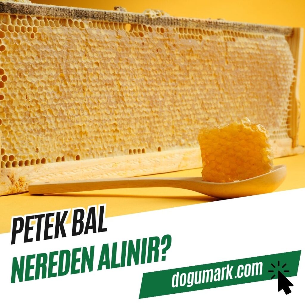 Petek Bal Nereden Alınır