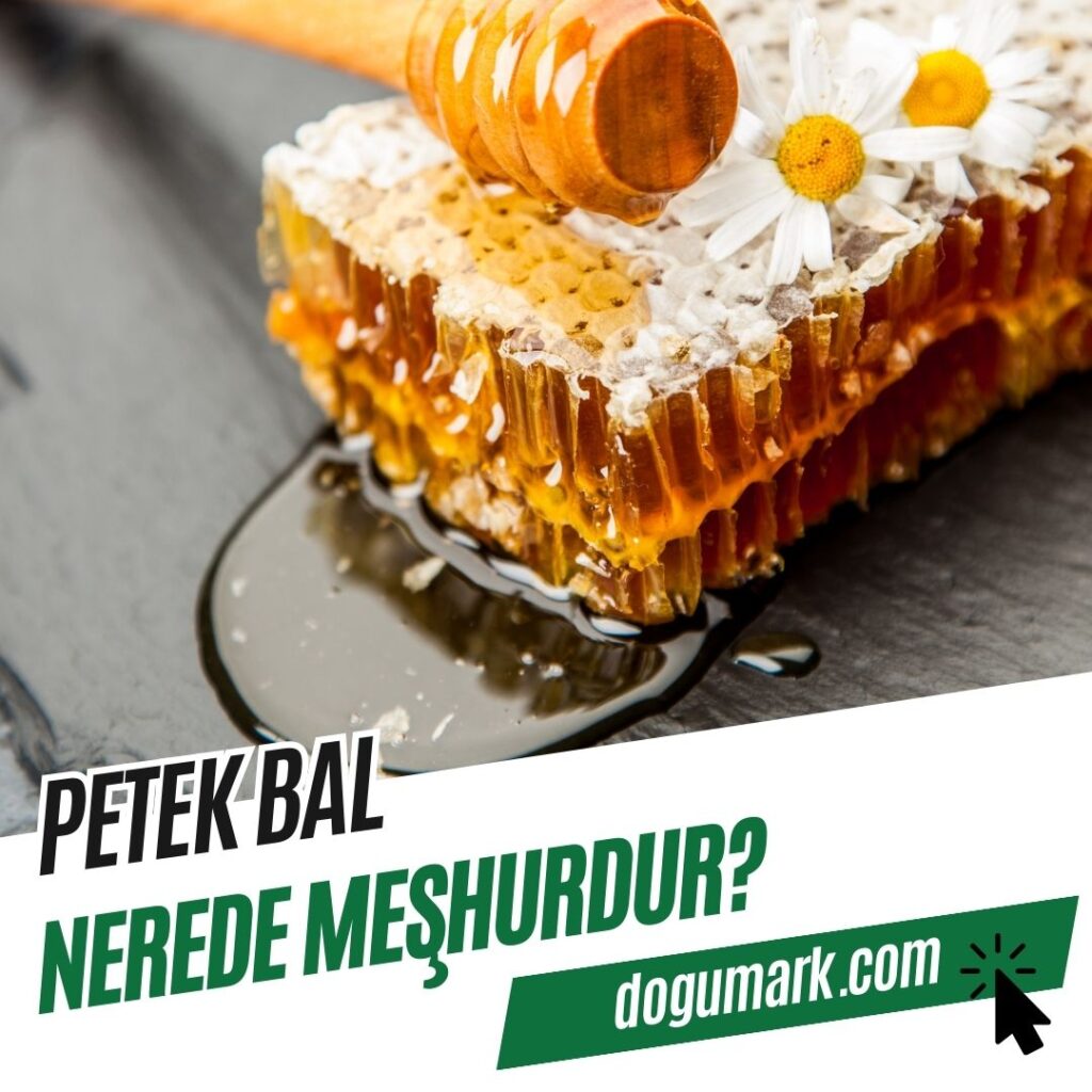 Petek Bal Nerenin Meşhur