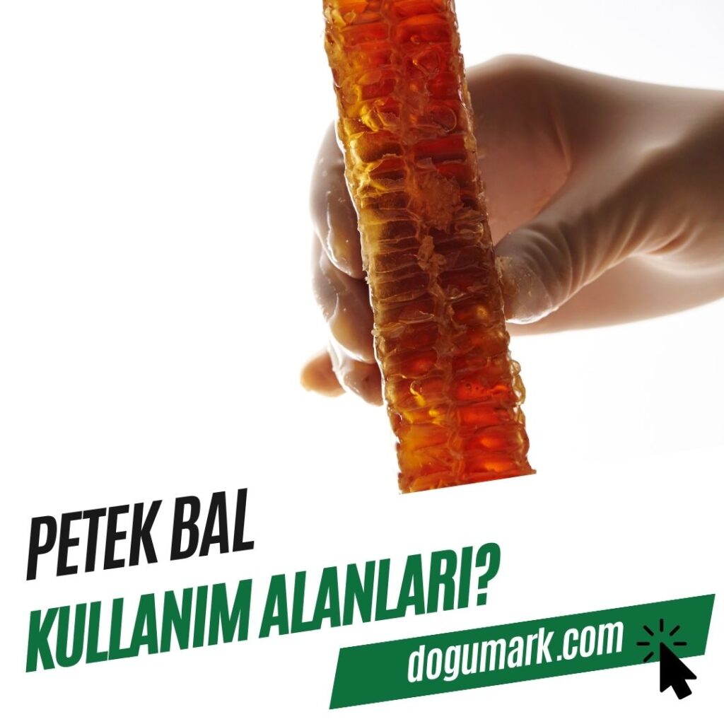 Petek Balı Kullanım Alanları ve Tarifler