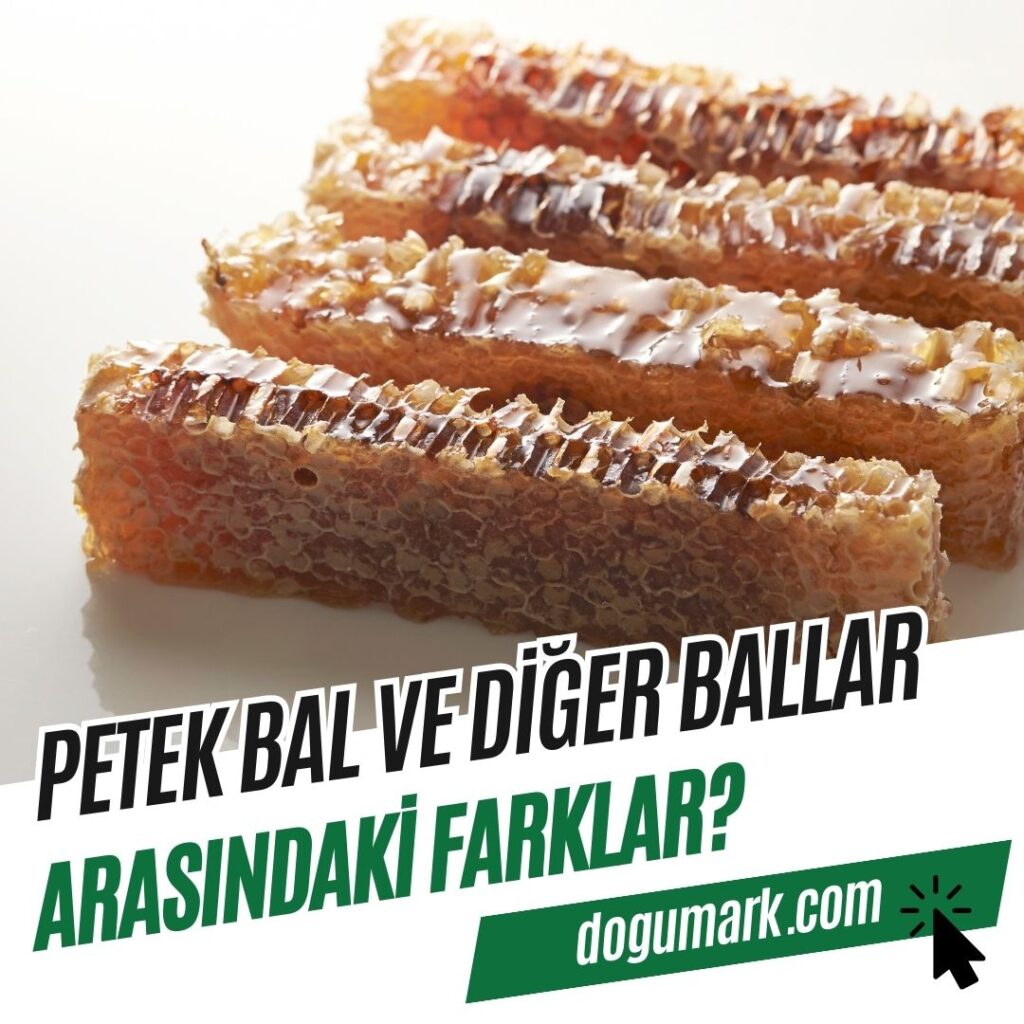 Petek Balı ve Diğer Bal Çeşitleri Arasındaki Farklar