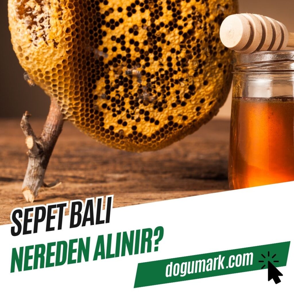 Sepet Balı Nereden Alınır