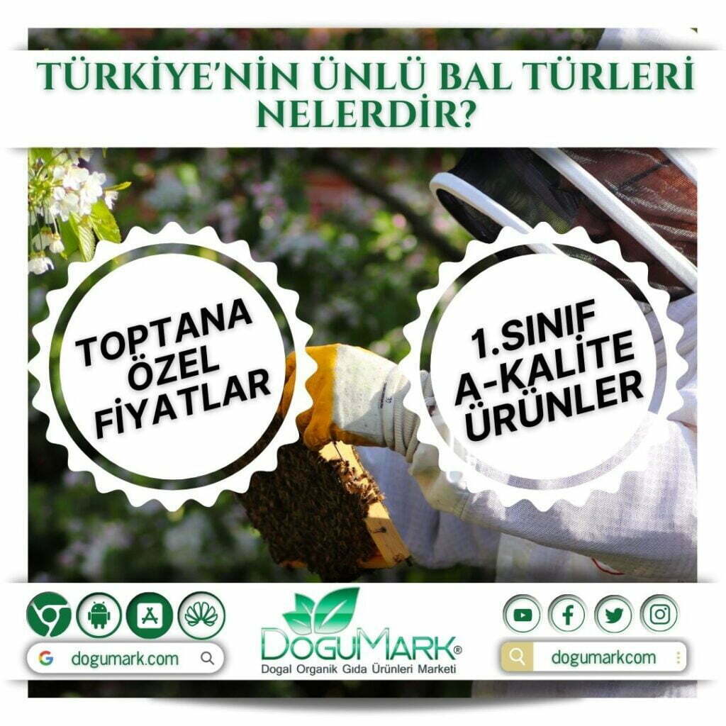 Türkiye'nin ünlü bal türleri nelerdir