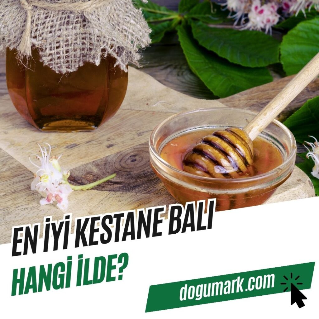 En iyi kestane balı hangi ilde
