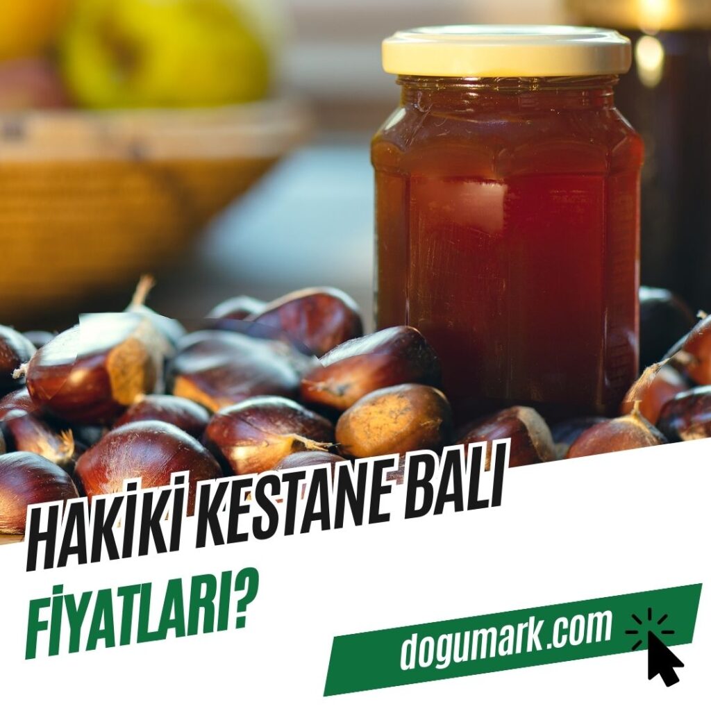 Hakiki kestane balı kaç TL