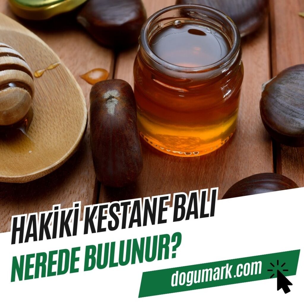 Hakiki kestane balı nerede bulunur