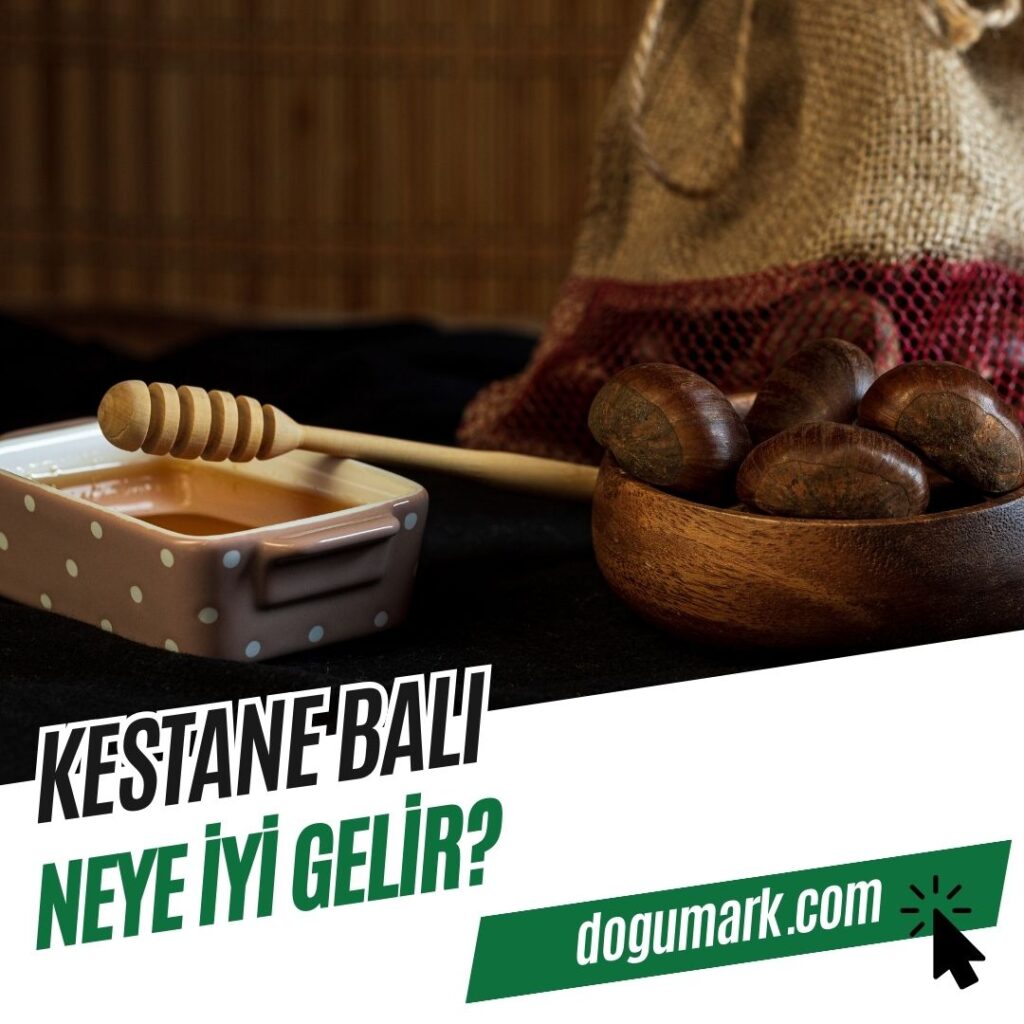 Kestane balı neye iyi gelir