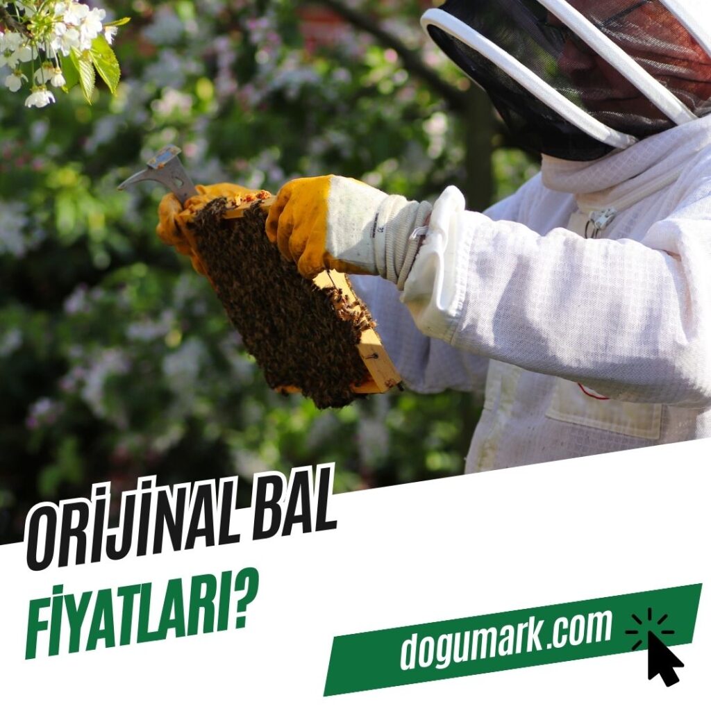 Orijinal bal kaç TL