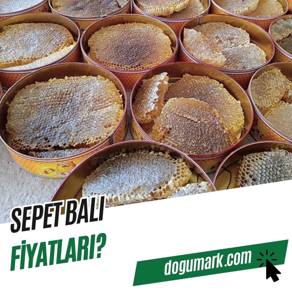 Sepet Balı Fiyatı
