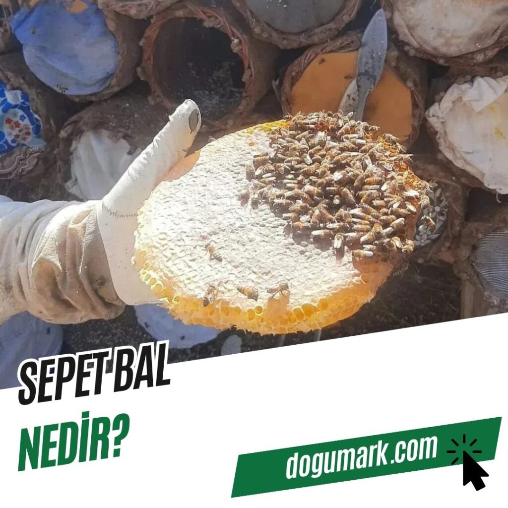 Sepet bal nedir