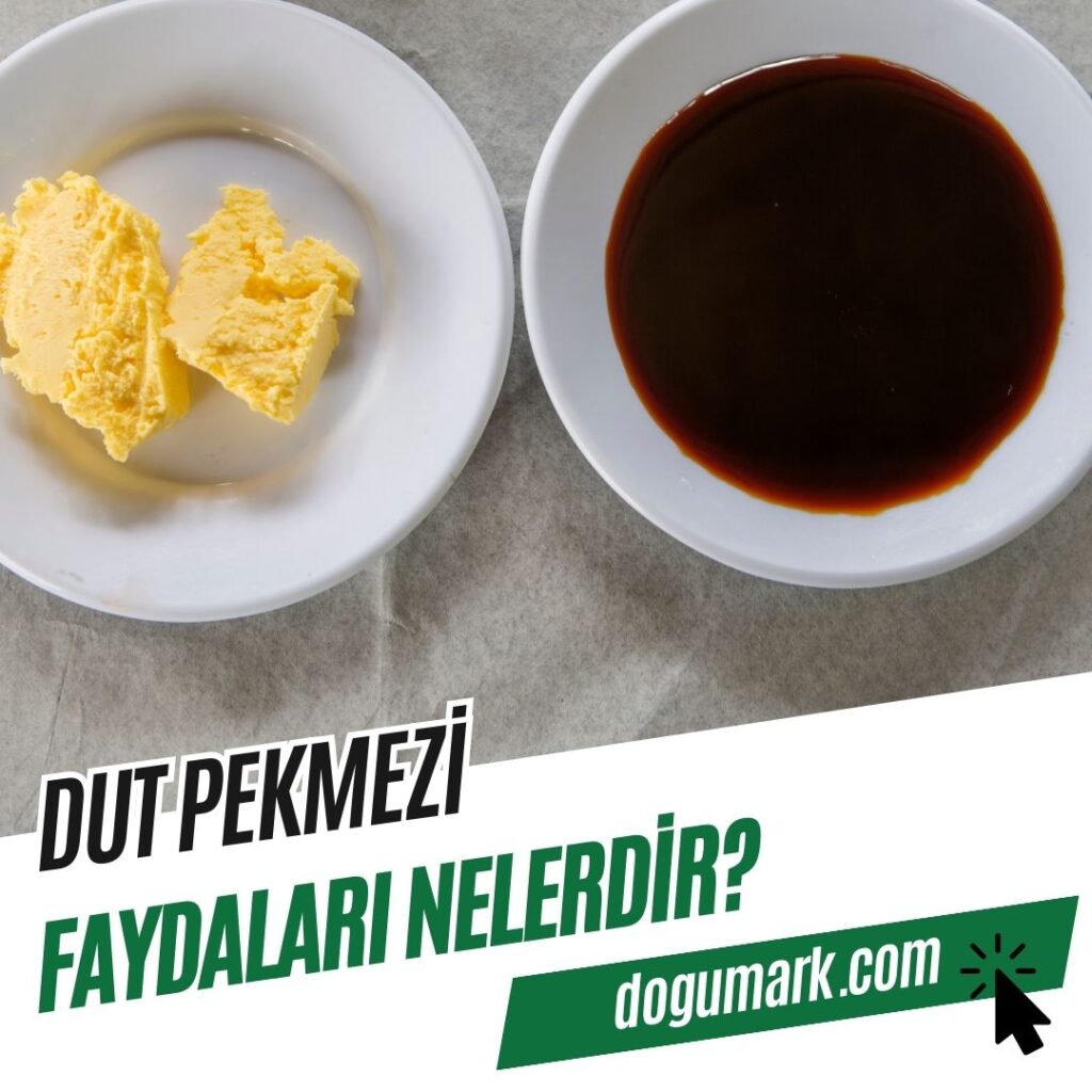 Dut Pekmezi Faydaları Nelerdir