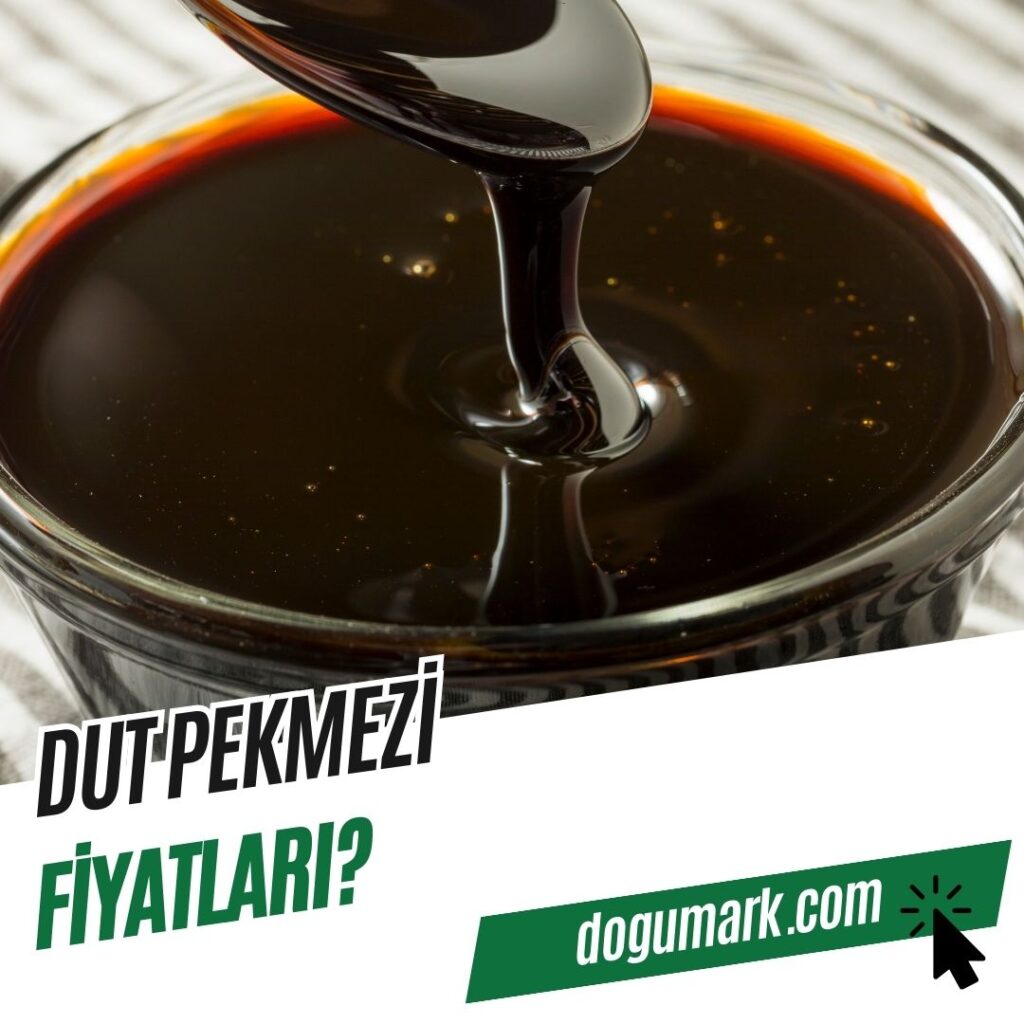 Dut Pekmezi Fiyatları
