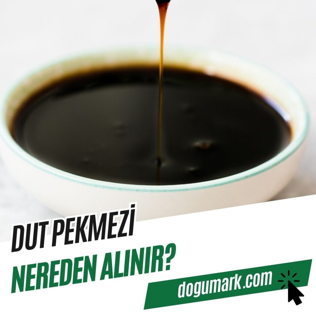 Dut Pekmezi Nereden Alınır