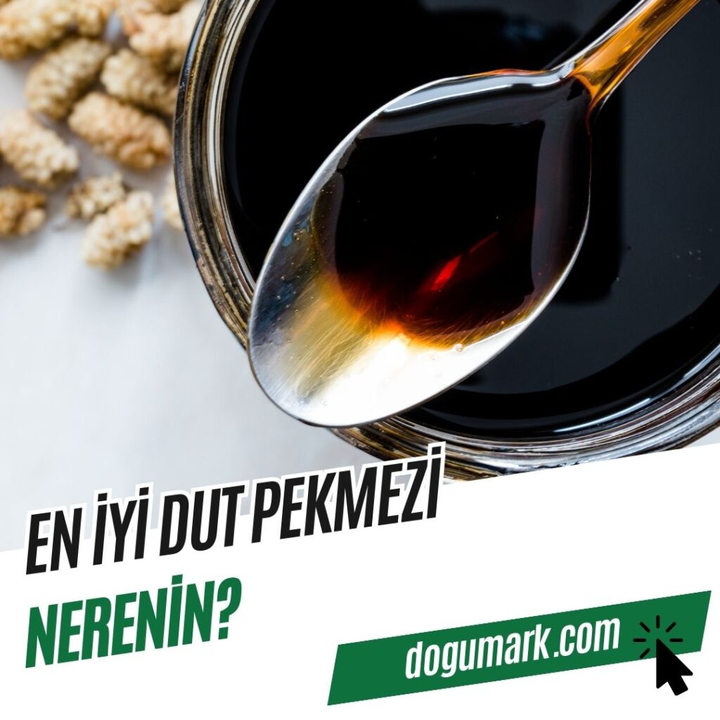 En iyi Dut Pekmezi Nerenin