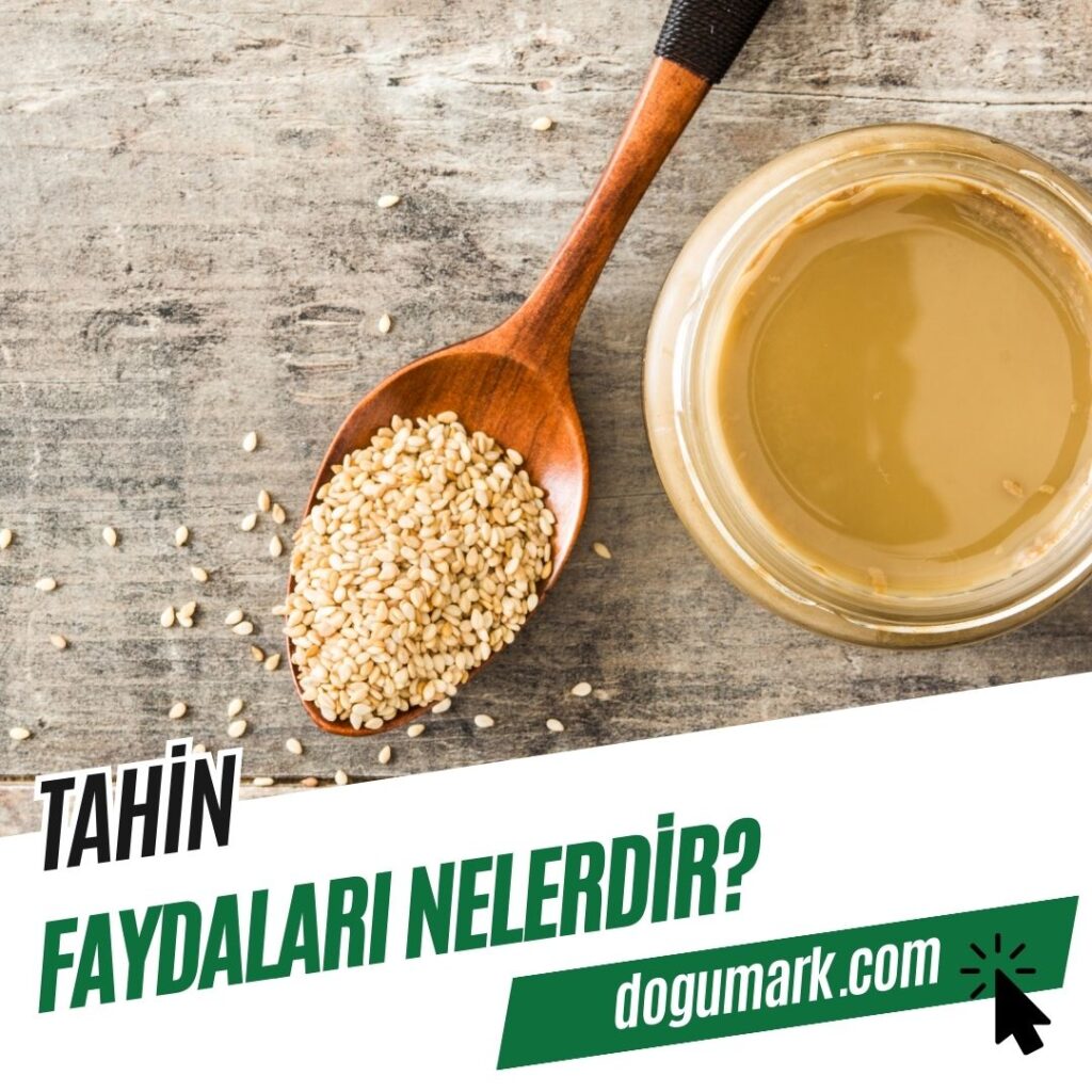 Tahin Faydaları Nelerdir