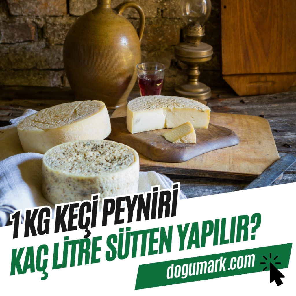 1 Kg Keçi Peyniri Kaç Litre Sütten Yapılır