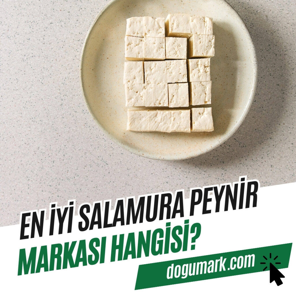 En iyi Salamura Peynir Markası Hangisi
