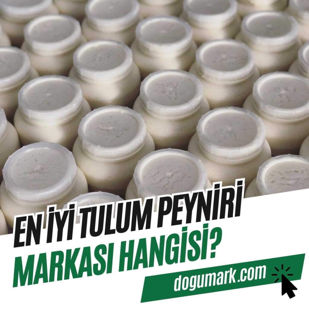 En iyi Tulum Peyniri Markası Hangisi