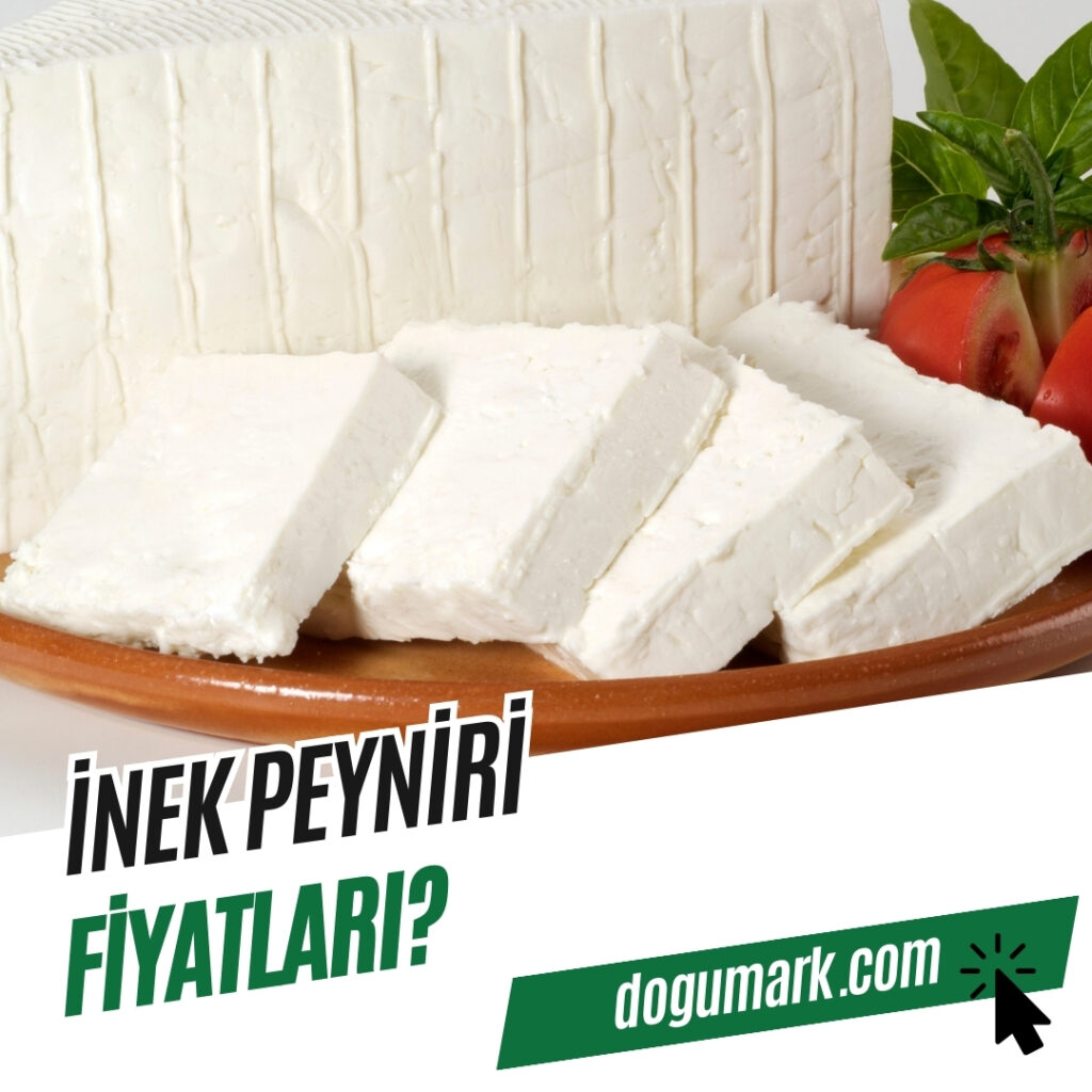 İnek Peyniri Fiyatları