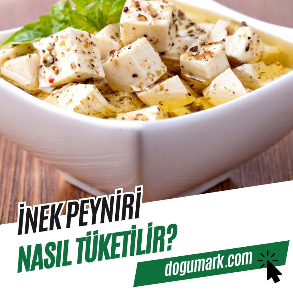 İnek Peyniri Nasıl Tüketilir