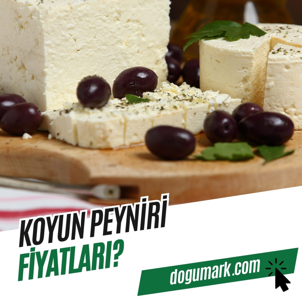 Koyun Peyniri Fiyatları