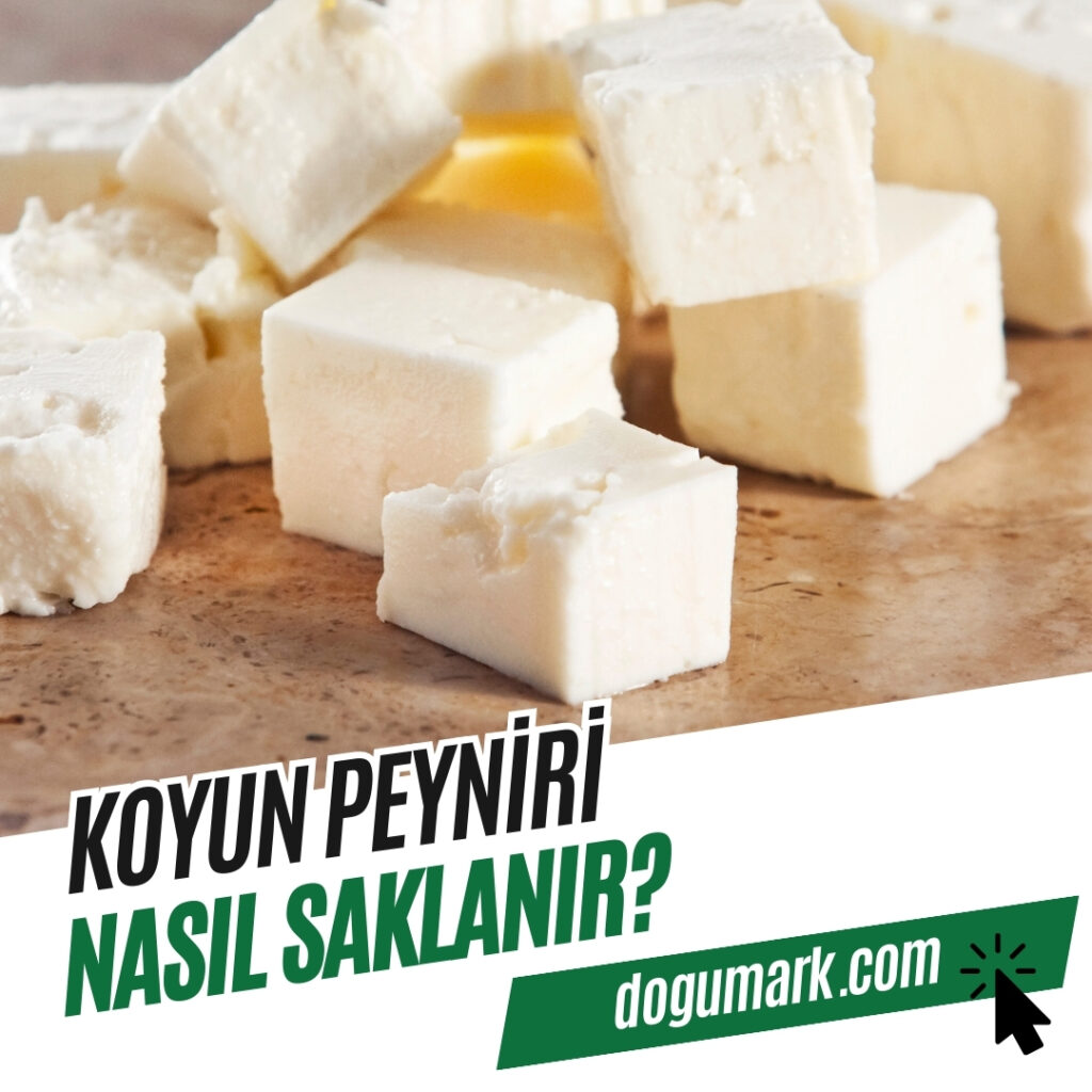 Koyun Peyniri Nasıl Saklanır